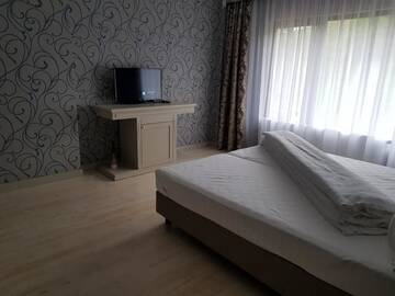 Фото номера Люкс с 2 спальнями Гостевой дом Pensiunea Davideea г. Văleni-Stînişoara 10